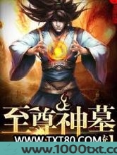至尊神墓系统图片