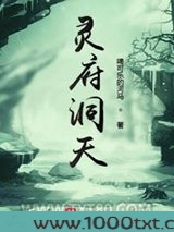 灵府洞天图片