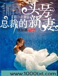 第一名媛,总裁的头号新妻图片