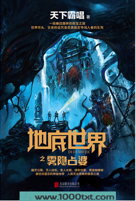 谜踪之国I：雾隐占婆