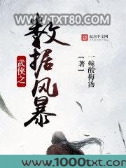 武侠之数据风暴图片