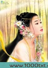 秦简图片