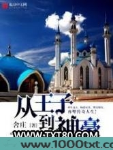 从王子到神豪图片