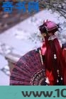 不许人间见白头图片