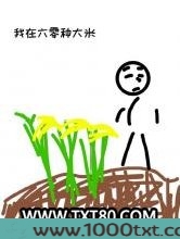 我在六零种大米图片