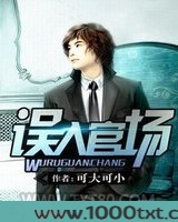 误入官场