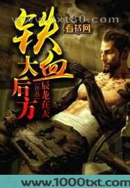 铁血大后方图片