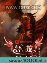 钚龙领域