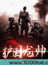 护国龙帅图片