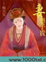 妻凭子贵图片