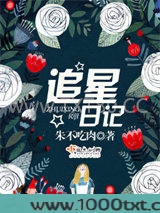 追星日记图片