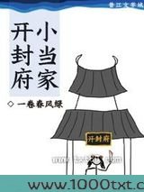开封府小当家图片