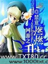 网游之燃燃升起图片