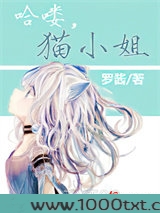哈喽，猫小姐图片
