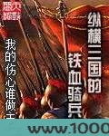 纵横三国的铁血骑兵
