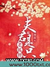 夫君是只老狐狸图片