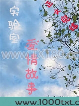 实验室爱情故事图片