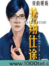 龙翔仕途