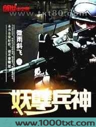 妖孽兵神图片