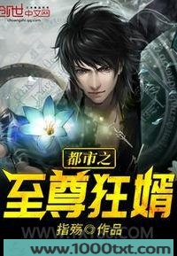 都市之至尊狂婿