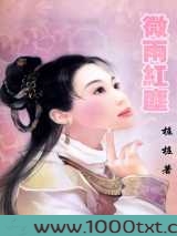 微雨红尘
