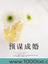 预谋成婚图片