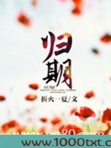 归期（离婚后的故事）