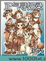 正气寻妇录图片