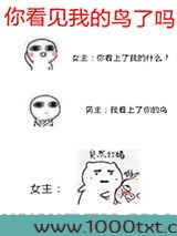你看见我的鸟了吗