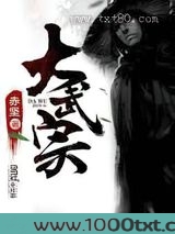 大武宗图片