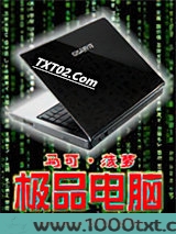 极品电脑