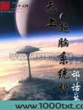 无上超脑系统科技图片