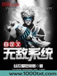 自定义无敌系统图片