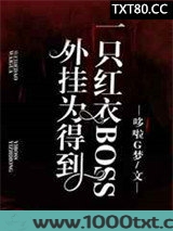 外挂为得到一只红衣BOSS图片