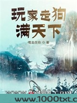 玩家走狗满天下图片