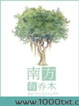 南方有乔木图片