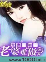 宠妻一加一老婆难做图片