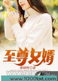 至尊女婿