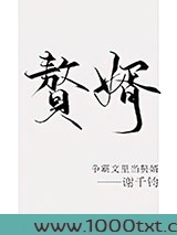 争霸文里当赘婿图片