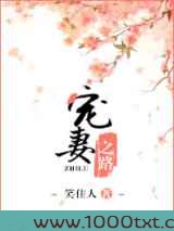 宠妻之路