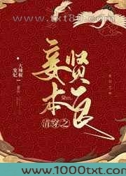 清穿之妾本贤良图片
