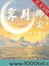 霁月拂尘图片