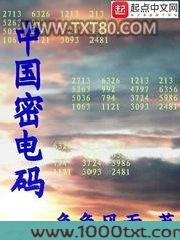 中国密电码图片