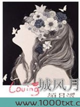 一城风月