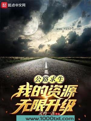 公路求生:从升级资源开始图片