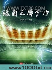 绿茵王牌少帅图片