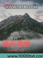 追凶迷途图片