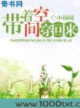 带着空间穿回来图片