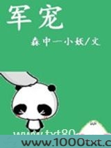 军宠（军旅高干）