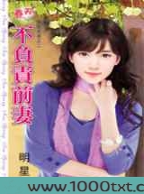 不负责前妻